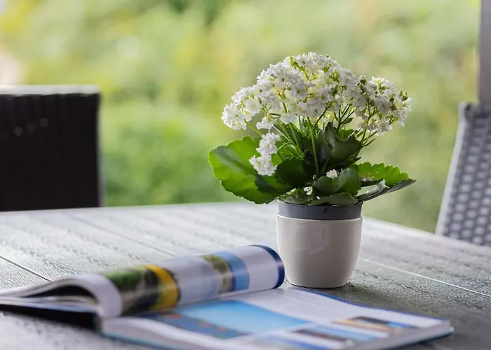 Fasanenblick Mit Kamin Und Terrasse Lägenhet Fehmarn